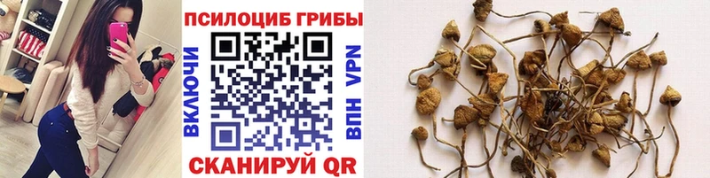 как найти наркотики  Пустошка  Галлюциногенные грибы ЛСД 