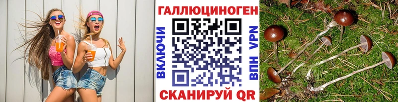 Галлюциногенные грибы мицелий Пустошка