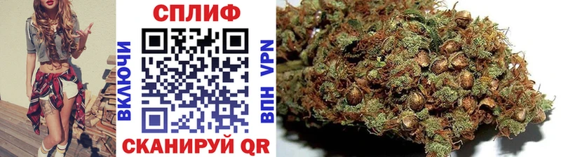 даркнет состав  Пустошка  Конопля конопля  наркота 